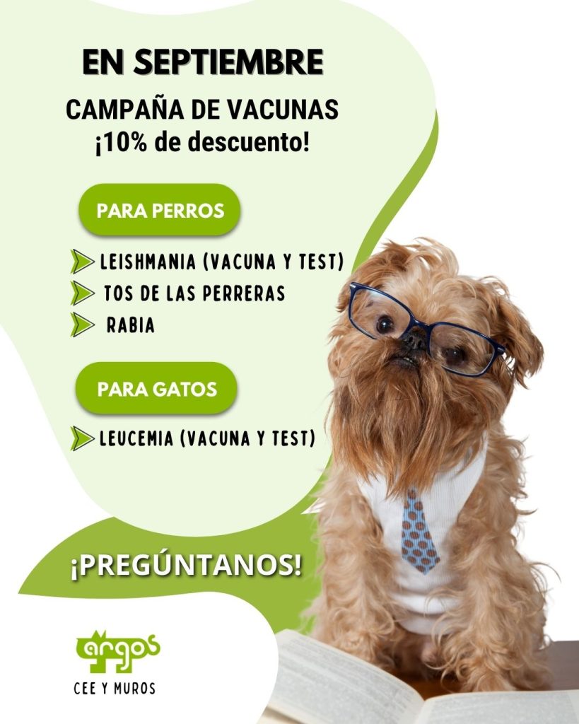 Campaña de vacunación septiembre en Clínica Veterinaria Argos Cee y Muros: 10% descuento en vacunas para perros (leishmania, tos de las perreras, rabia) y gatos (leucemia felina)